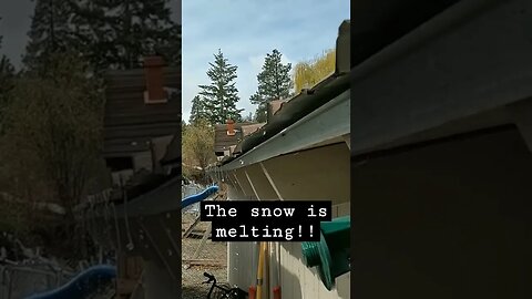 #snow #spring #homesteading #homesteadlife #farm #farmlife #water