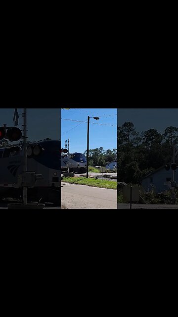 Silver Meteor 98 Northbound to New York at DeLand Amtrak Station Oct. 15 2023 #amtrak #railfanrob