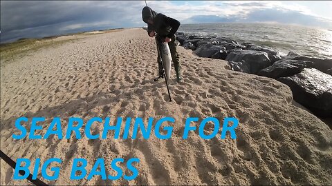 Searching for BIG Spring Striped Bass at the beach!