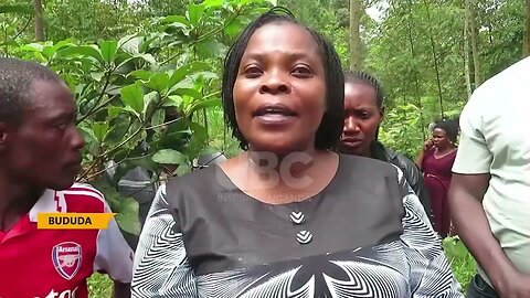 LEGISLATOR NANDUTU LAUCHES BAMBOO PLANTING PROJECT