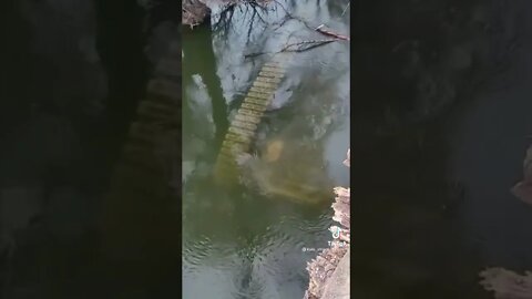 Ukraine War - Video of the drowned Russian Tank