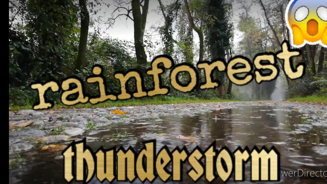 Rainforest thunderstorm