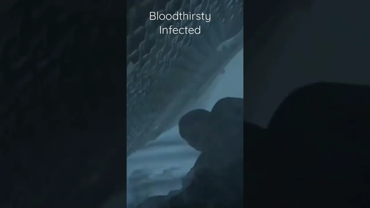 Run!!!!