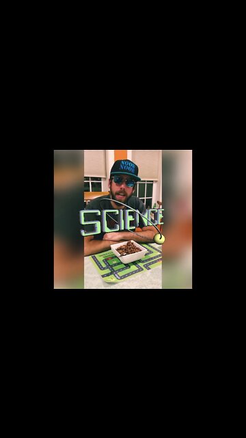 Wendy’s Frosty Cereal Review! #wendys #shorts