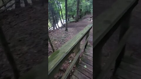 Cato falls wooden bridge