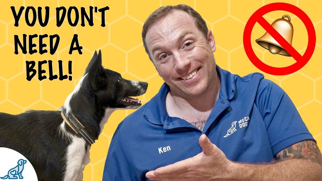 How To Teach Your Dog To Ask To Go Outside - Puppy Potty Training - Professional Dog Training Tips