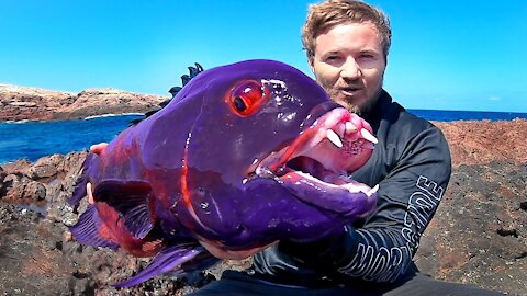 How the most unbelievable fish captured