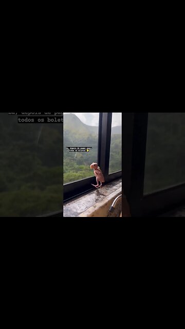 Mude esse situação. #educaçãofinanceira #investimento #bolsadevalores