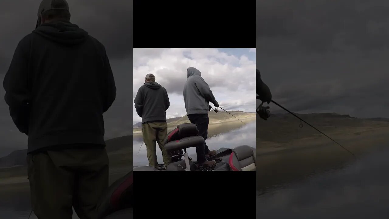 Blade baits for the win! Made a sweet video but no audio came through,no vid this week🤦♂️#shorts