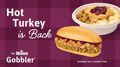 Reviewing the WaWa "Gobbler" Thanksgiving sub