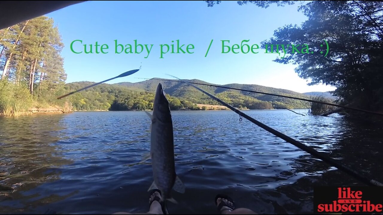 За костур на яз.Душанци - Out for perch on Dushantzi lake