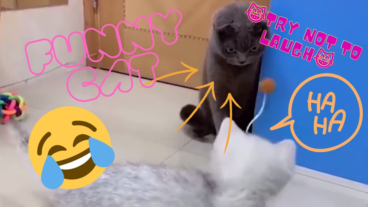 Cuttiest Cats😹 You Will Die Laughing😹Try Not To Laugh Challenge!