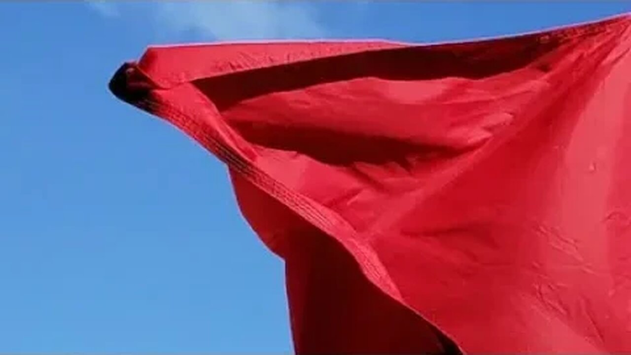 Funny Cats! 😹 Kitty Has a SERIOUS Problem With This Flag 🚩 (#172) #Clips