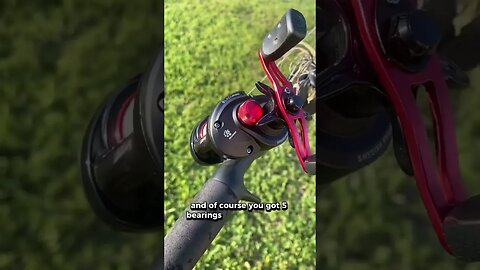 This rod and reel combo is $35 (bait caster)
