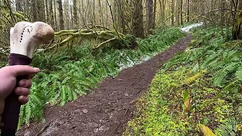 Hike with Mike POV at King's Mountain Trail