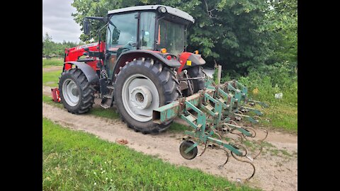 Cultivating the Corn