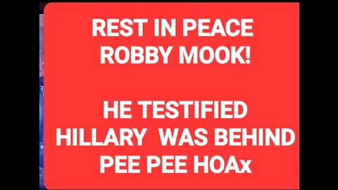 HILLARY CLINTON WAS BEHIND PUSH OF PEE PEE HOAX