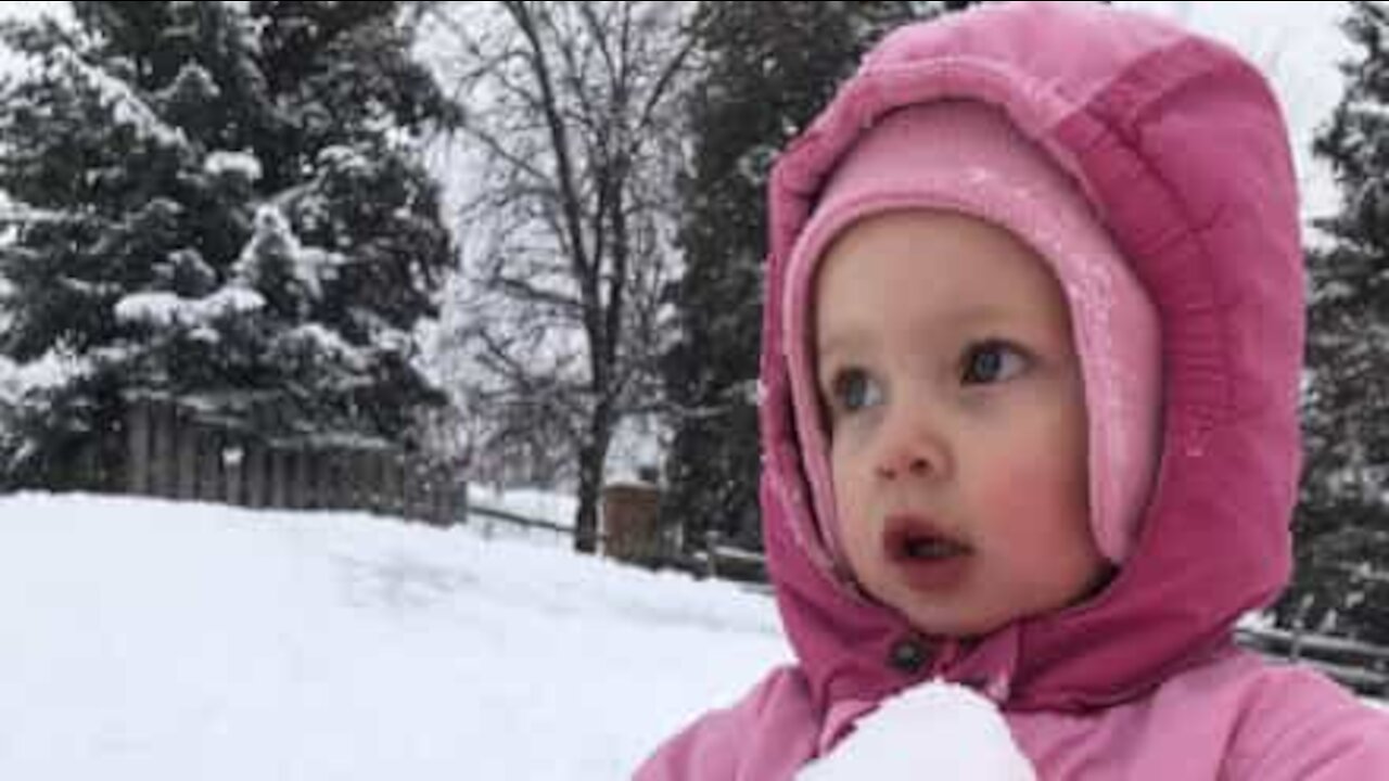 Menina aprende que deslizar na neve é sinónimo de queda!