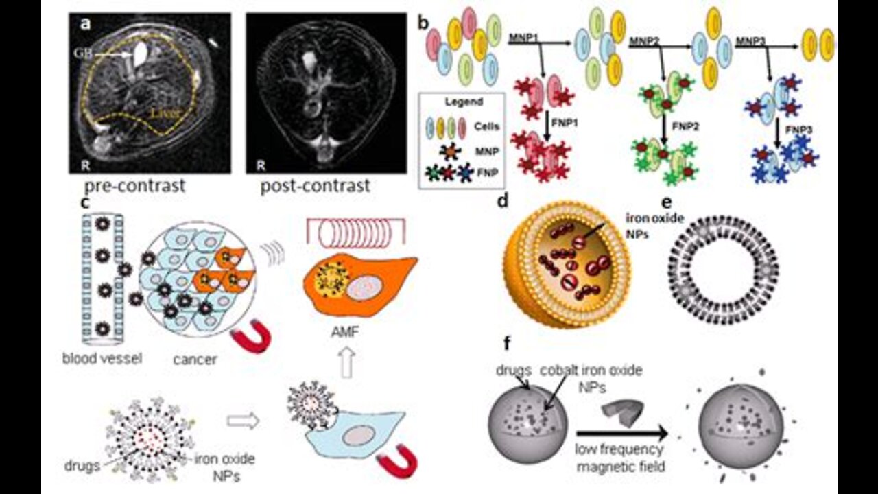 Nanoparticles in Our Food!