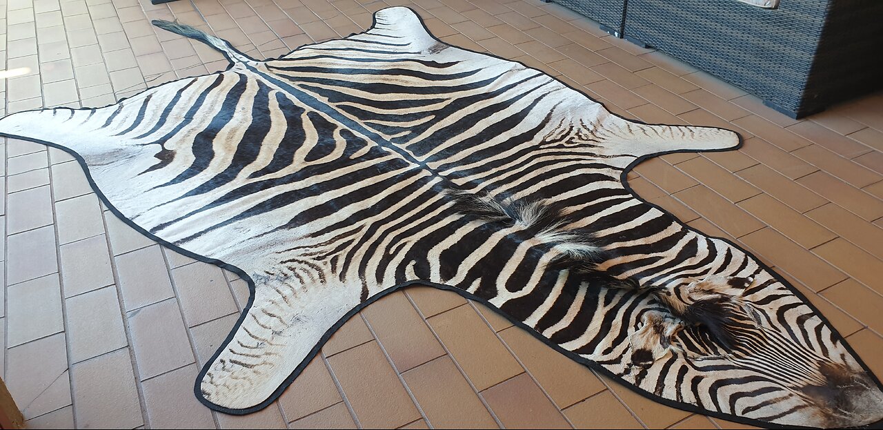 Felted Zebra Rug Hide