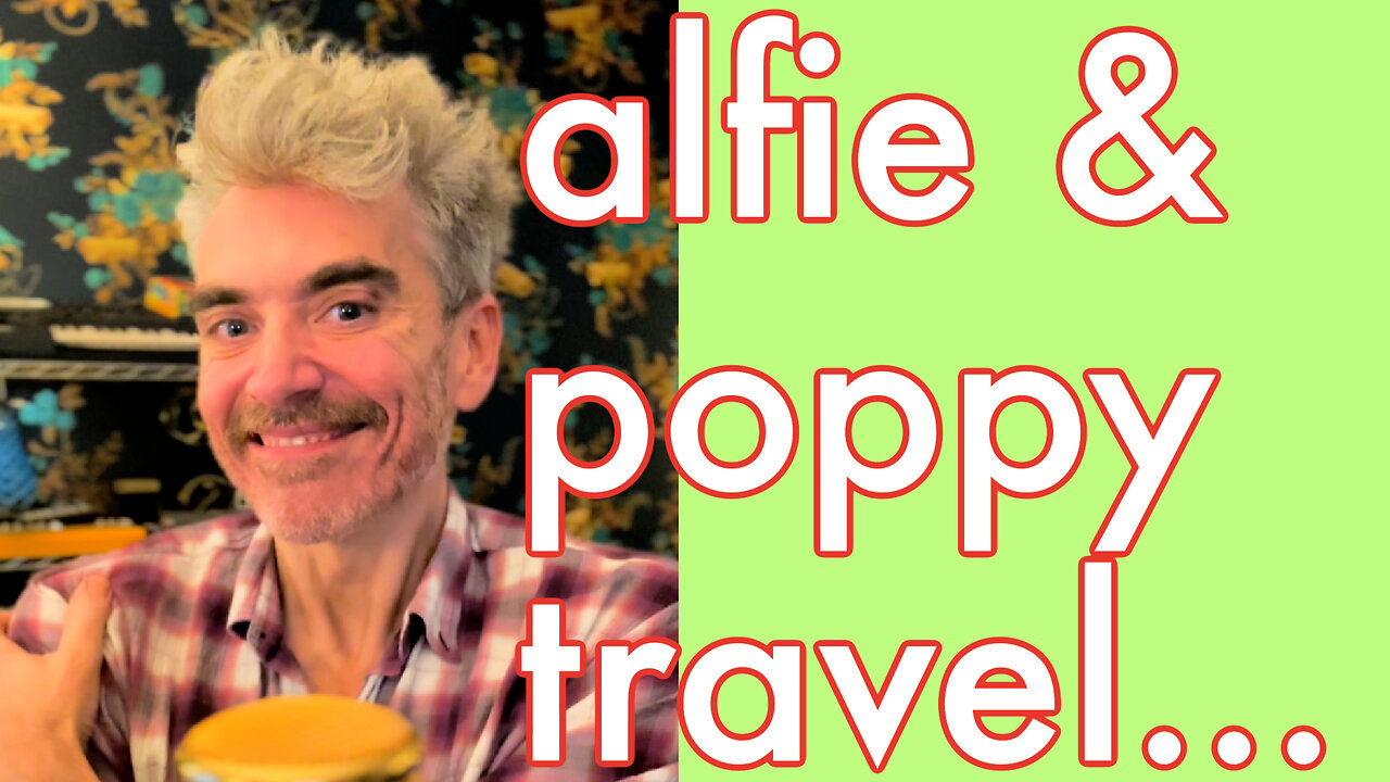 Alfie & Poppy travel the world