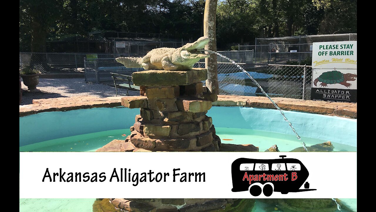 Hot Springs Alligator Farm - Full Time RV