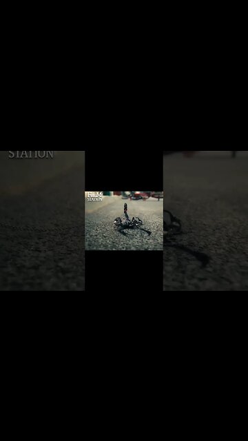 Wandinha perdendo seu amigo 😥 #wandinha #wandinhaaddams #wednesday