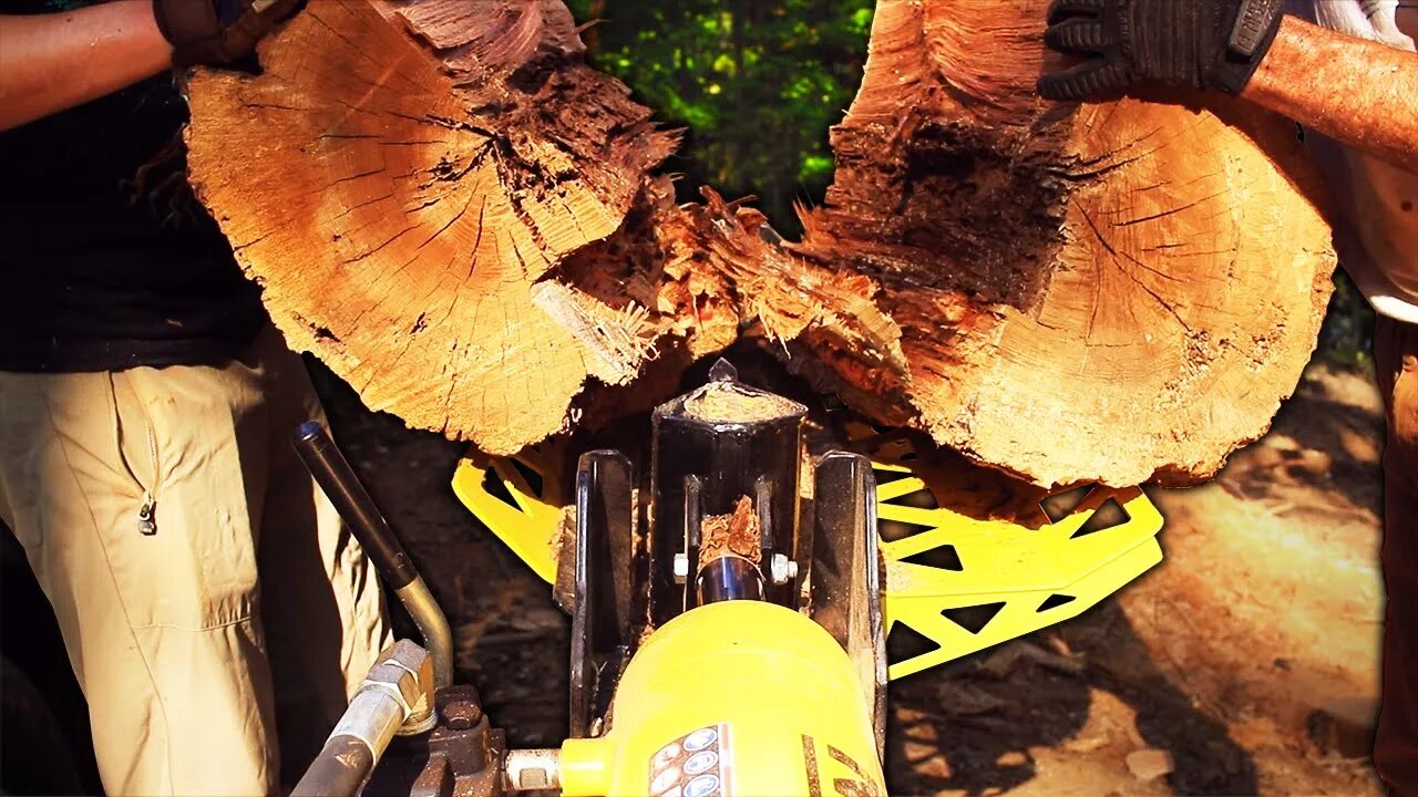 POV: Cutting a LOT of firewood