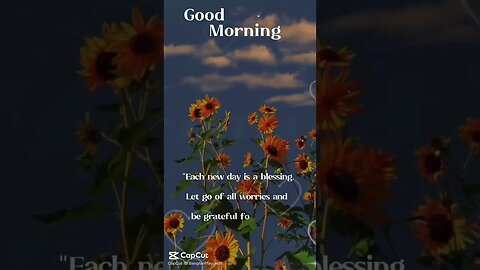 Great Morning @ @everyone #everyone