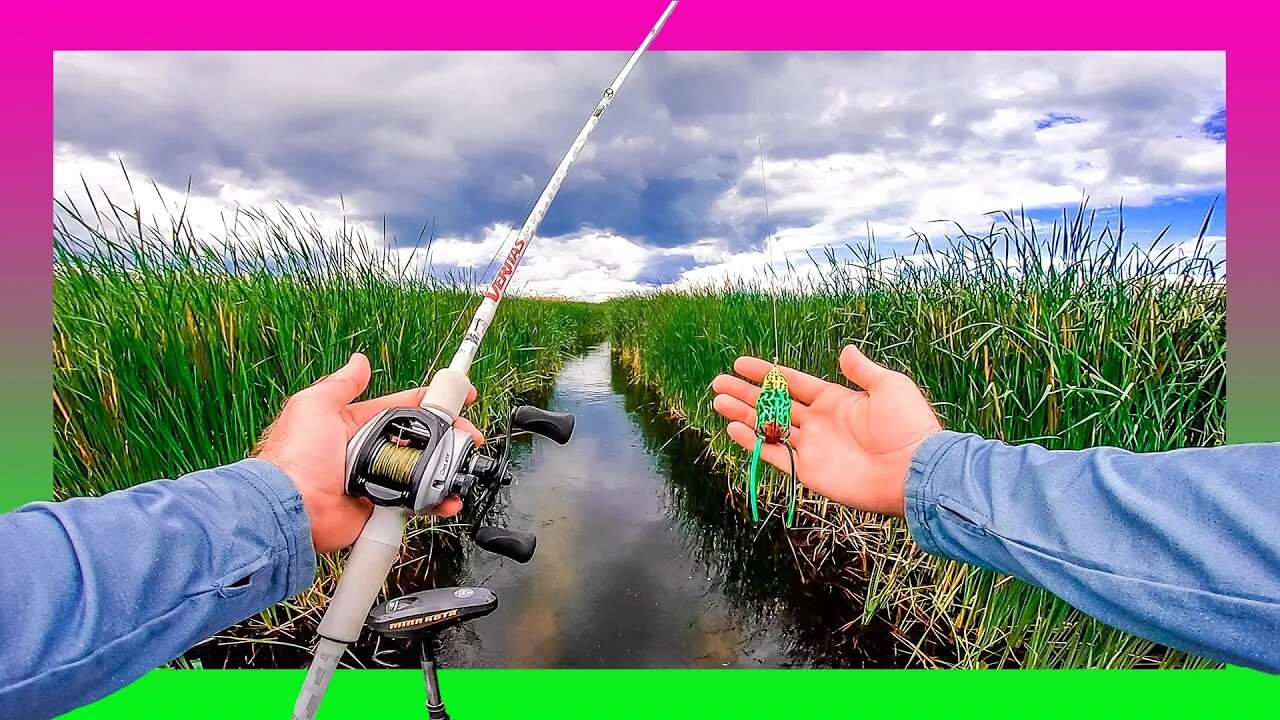 Frog Fishing CRAZY Grass Canals for BIG BASS!