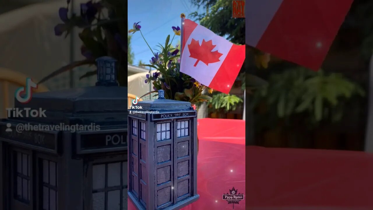 🇨🇦 #HAPPY #CANADADAY FOR OUR FRIENDS WHO ARE CELEBRATING 🍾 #DOCTORWHO #TARDIS #SUBSCRIBE #SHORTS