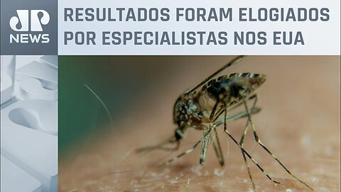 Primeira vacina contra a chikungunya apresenta resultados promissores