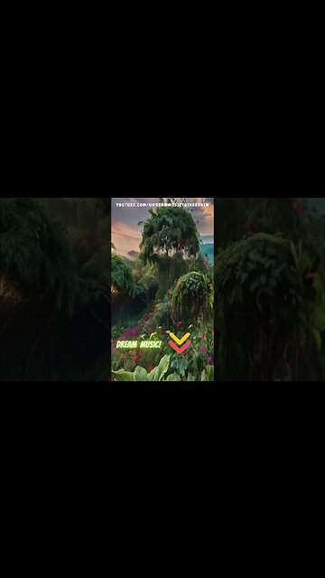 🌿 24/7 NATURE POWER: Tai Chi Music for Inner Balance and Serenity with nature