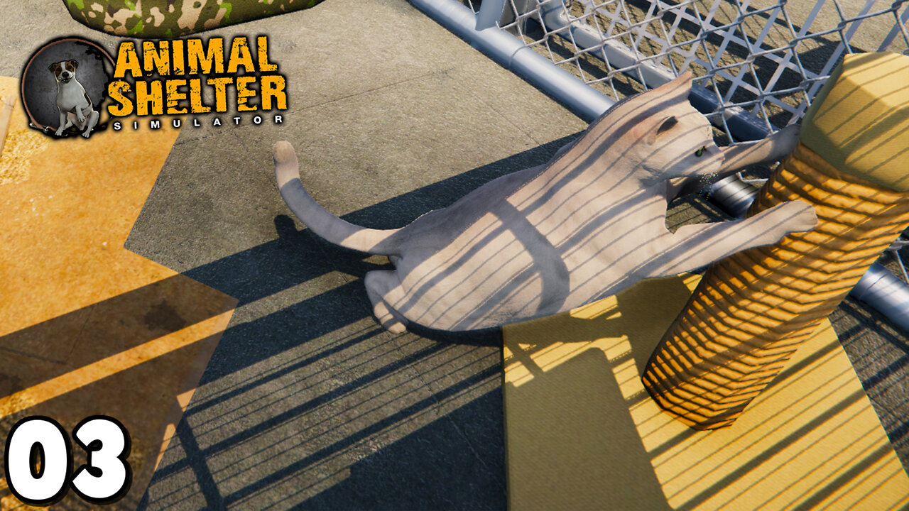 I Bought a Cat Enclosure and I can Take in Cats Now // Shelter Simulator - Part 3