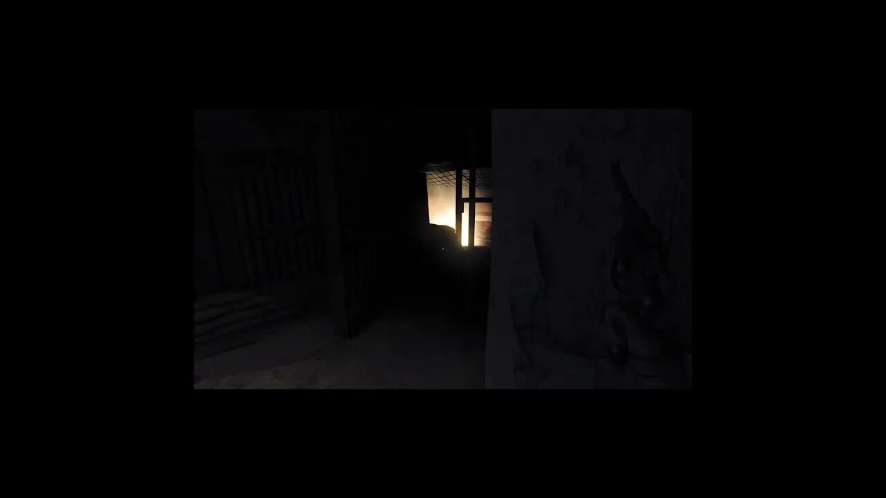 Fun Fact: When in flight the beast will run you over [Amnesia The Bunker]