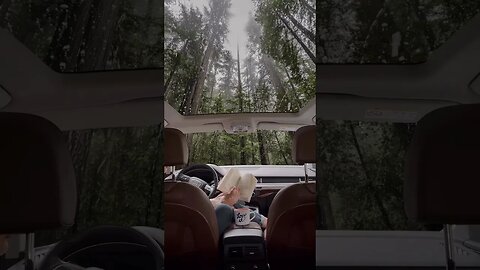 It's vacation time! #vacation #travel #love #travelman #hotel #fly #beauty #subscribe