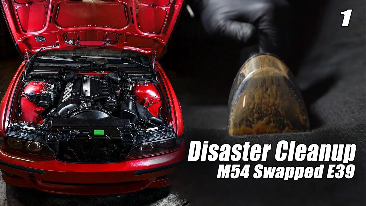 This is My M54 Swapped E39 BMW | Japan-Rot E39 528i Project Car!