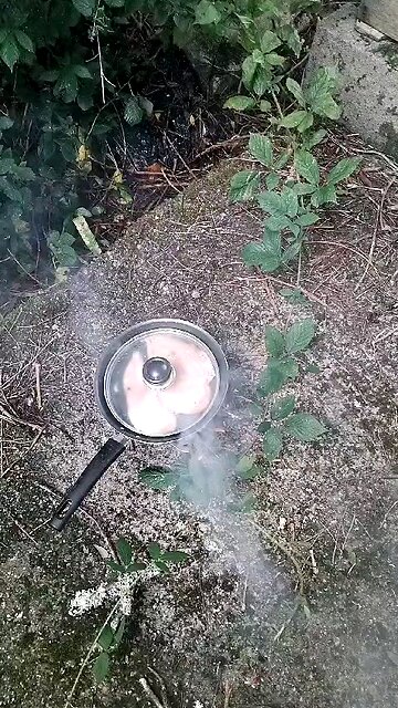 living off the land ;) xxx