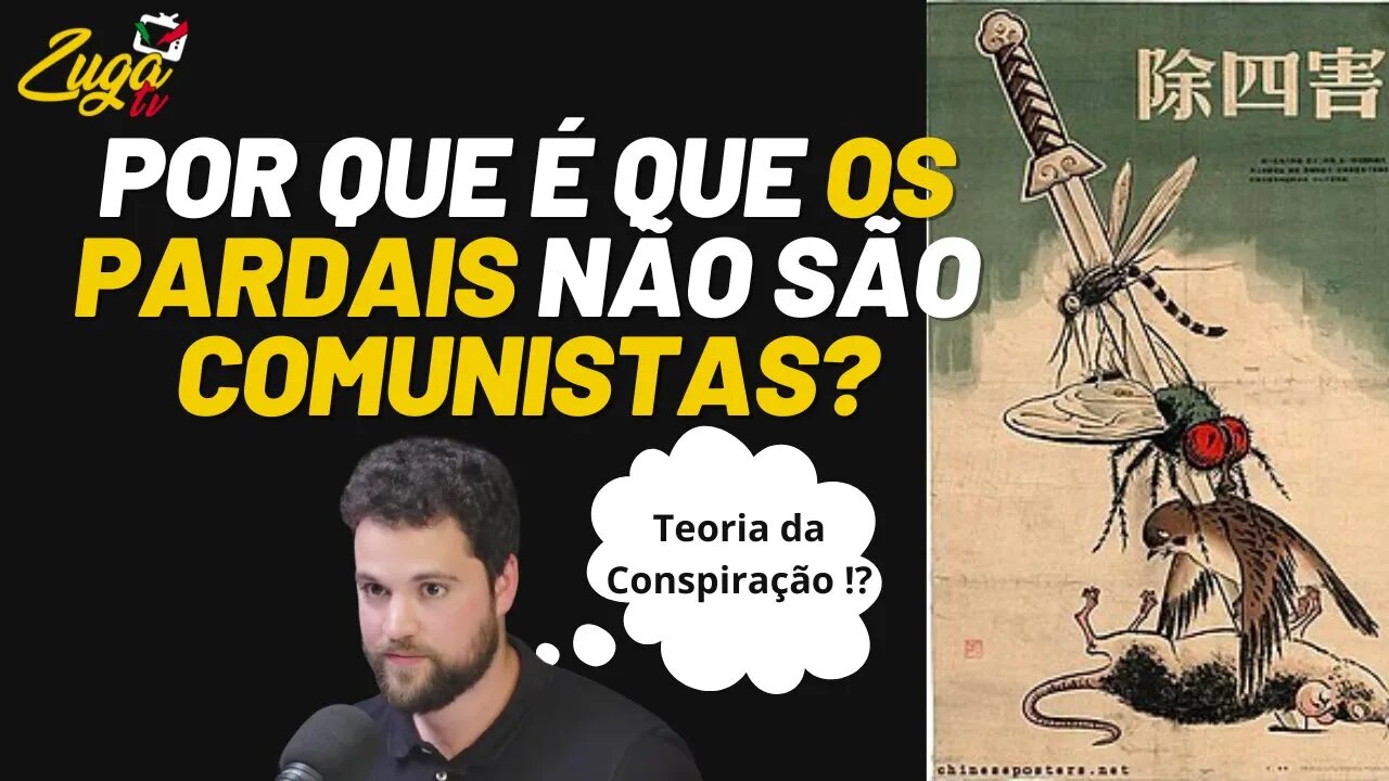 Campanha das Quatro Pragas! - Mao Tsé-Tung | Zuga Culture #chinacomunista