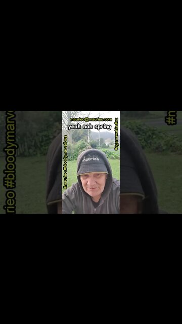 #maurieo #shorts YEAH NAH SPRING