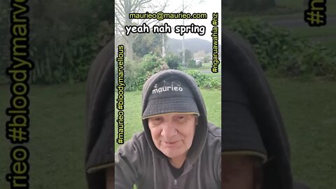 #maurieo #shorts YEAH NAH SPRING