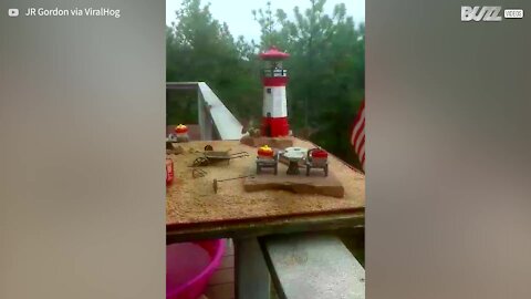 Hummingbirds gather to enjoy their very own mini water park!