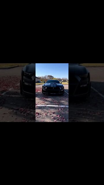 Just speaking facts 💯 #ford #mustangsociety #fordperformance #fordracing #shelby #shorts