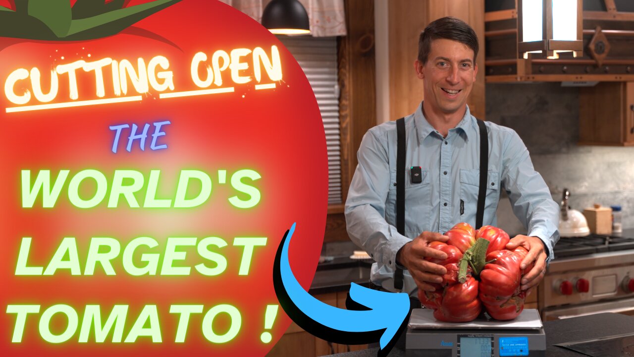 WORLD'S BIGGEST TOMATO! 17.15 lbs! I CUT OPEN the BIGGEST GIANT TOMATO IN THE WORLD! WHAT'S INSIDE?