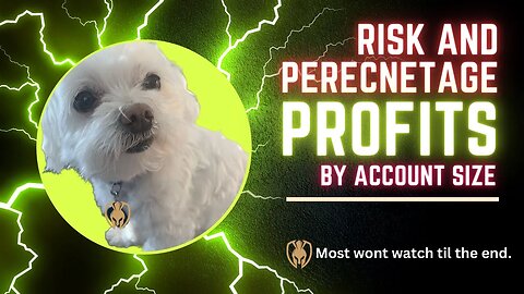 Risk and Percentage Trade Profits by Account Size