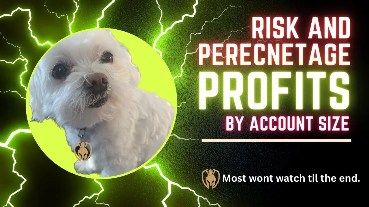 Risk and Percentage Trade Profits by Account Size