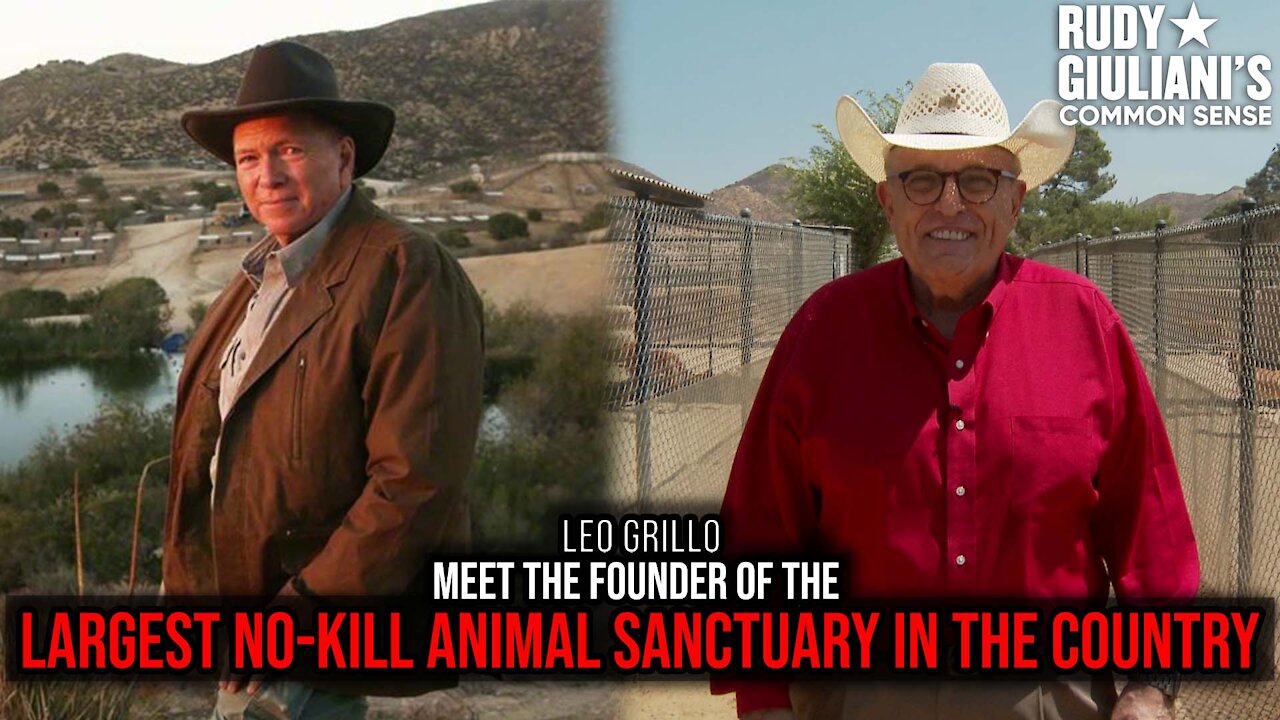 Meet the Founder of the Largest No-Kill Animal Sanctuary in the Country | Leo Grillo | Ep. 166