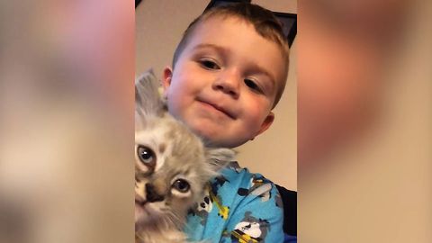 Kitten Is BEST FRIENDS with Adorable Kid