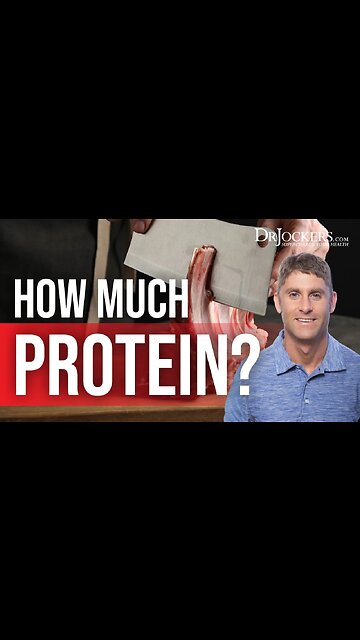 How Much Protein Should You Consume in a Meal? #shorts