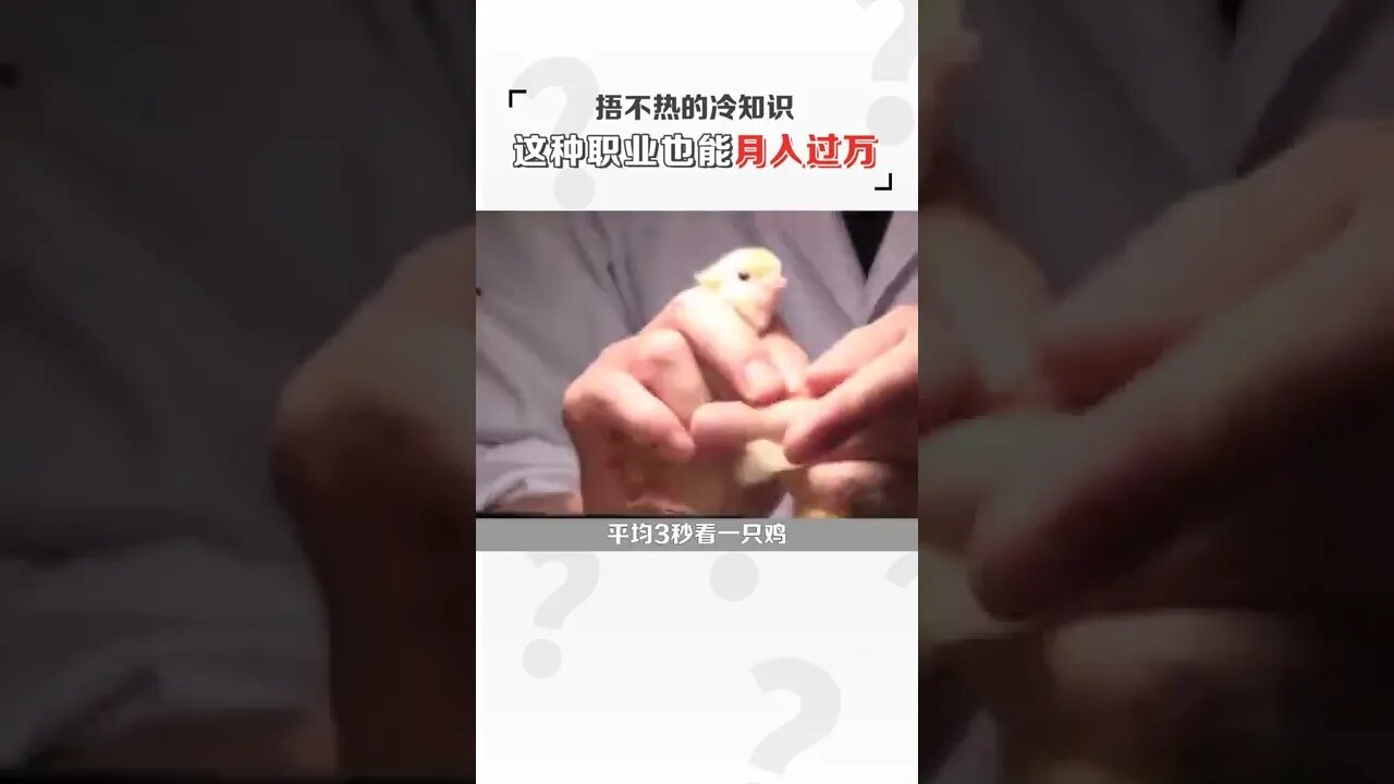 月入過萬的職業，你想去嗎？#冷知識#shorts #天橋下說書貓